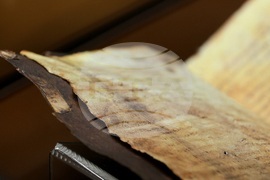 „Азбуки, памет, приемственост“ - конференция - откриване