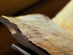 „Азбуки, памет, приемственост“ - конференция - откриване