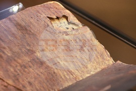 „Азбуки, памет, приемственост“ - конференция - откриване