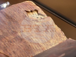 „Азбуки, памет, приемственост“ - конференция - откриване