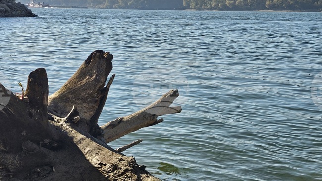 Възможностите за баланс между екология, безопасност и транспорт по река Дунав ще обсъдят в Русе 35 организации от седем държави 