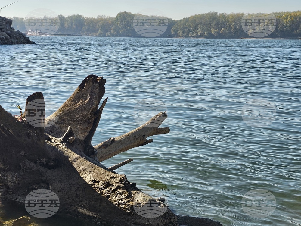 Възможностите за баланс между екология, безопасност и транспорт по река Дунав ще обсъдят в Русе 35 организации от седем държави 