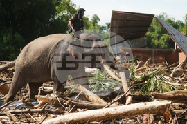 Indonesia Extreme Weather Asia Flooding