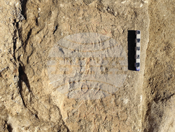 Снимка: Регионален исторически музей – Бургас