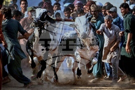 YE Mideast 2025 Photo Gallery