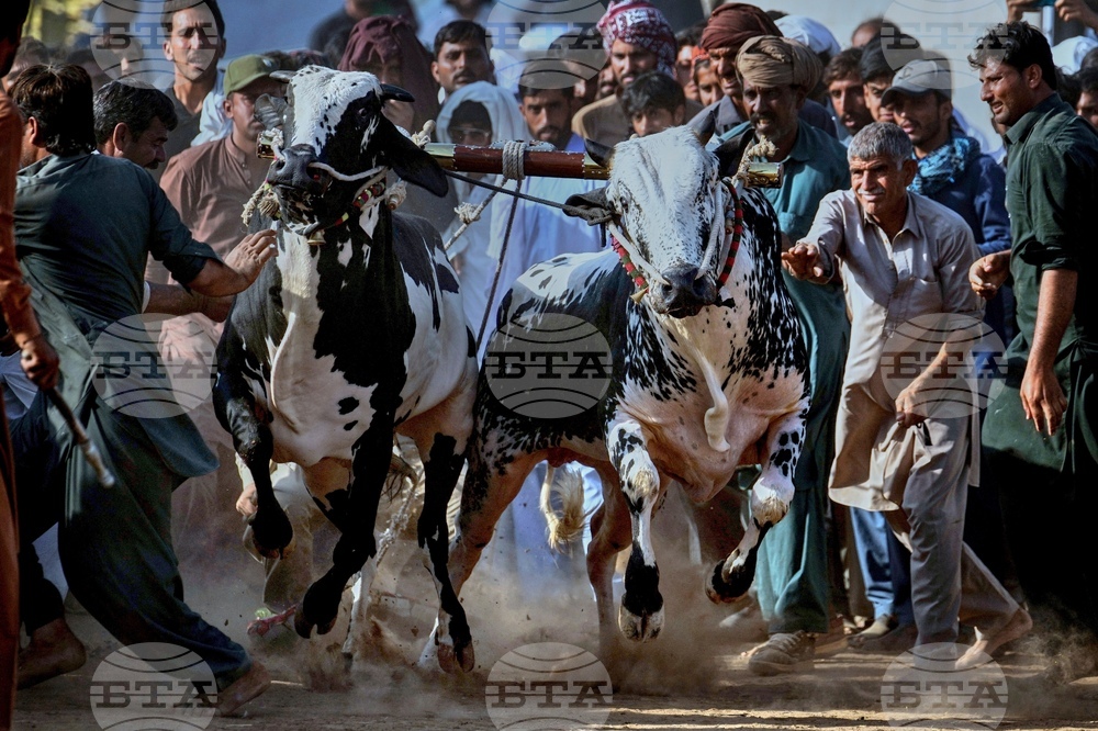 YE Mideast 2025 Photo Gallery