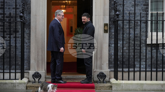 Най-влиятелните животни на планетата през 2025 г.