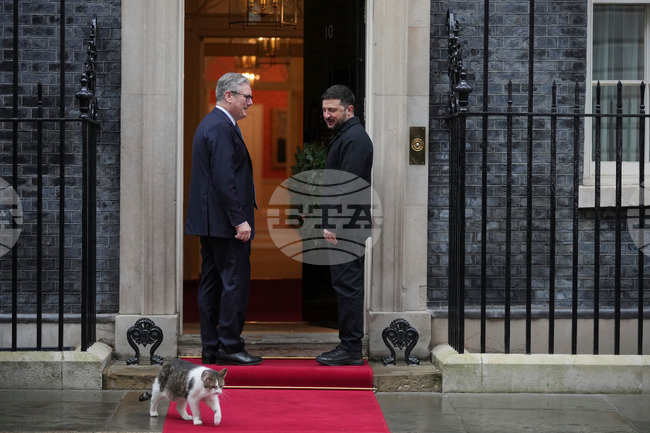 Най-влиятелните животни на планетата през 2025 г.