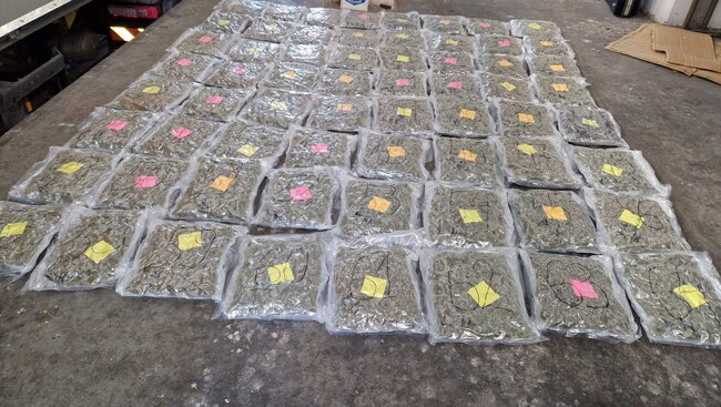 Окръжна прокуратура–Хасково привлече като обвиняем и задържа български гражданин за опит за контрабанда на марихуана за 158 200 лева