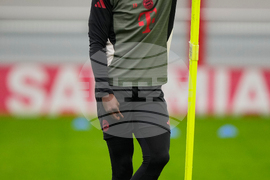 Germany Champions League Soccer