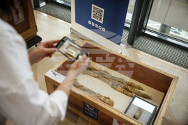 France Dinosaur Smuggling