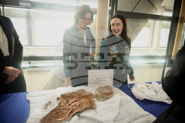 France Dinosaur Smuggling