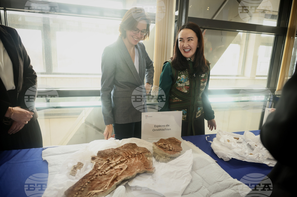 France Dinosaur Smuggling