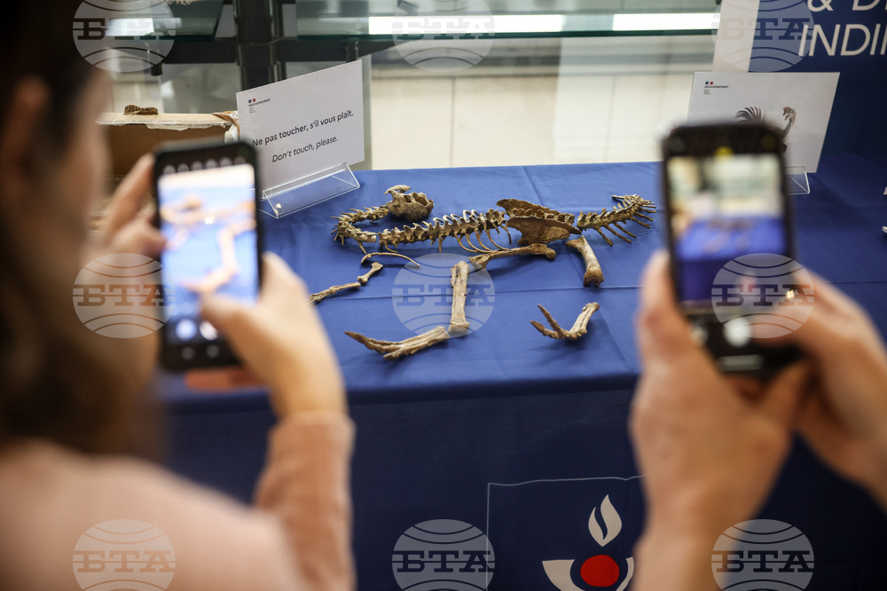 France Dinosaur Smuggling