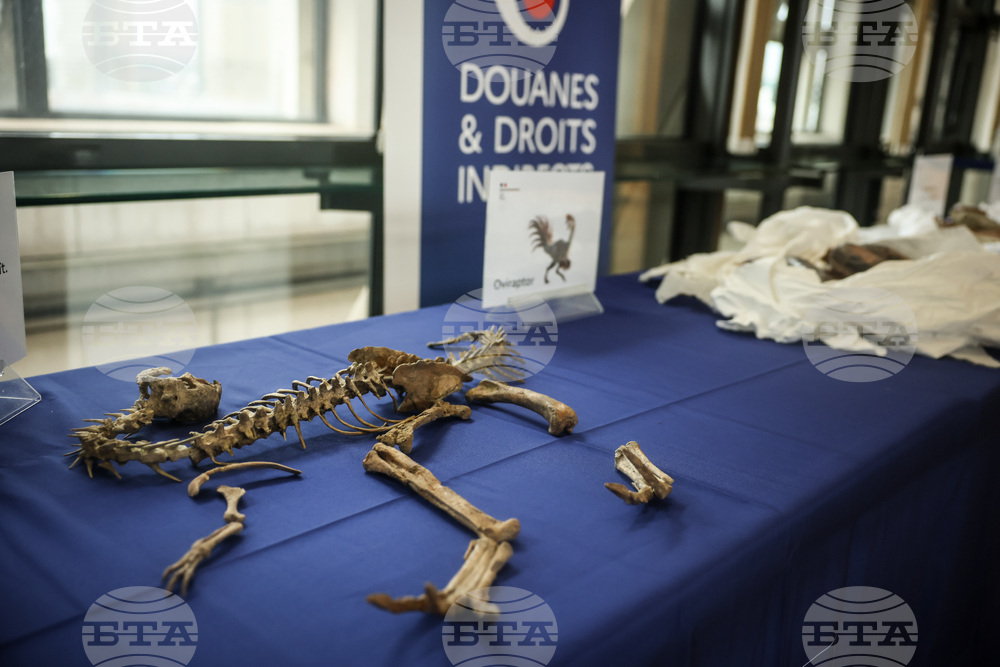 France Dinosaur Smuggling