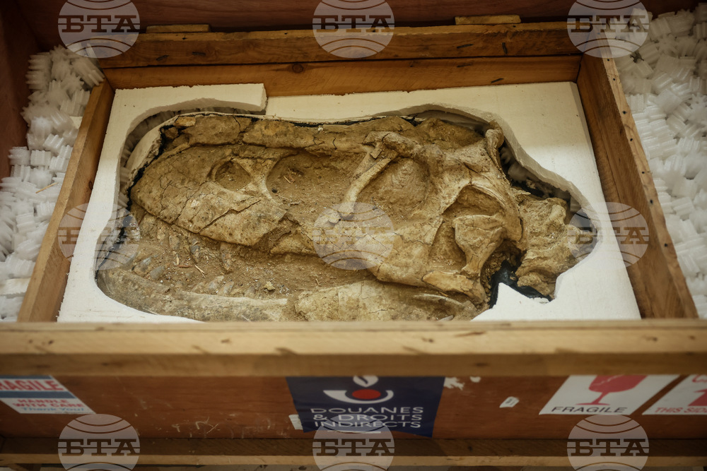 France Dinosaur Smuggling