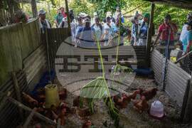 Colombia Amazon Defender