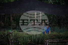 Colombia Amazon Defender