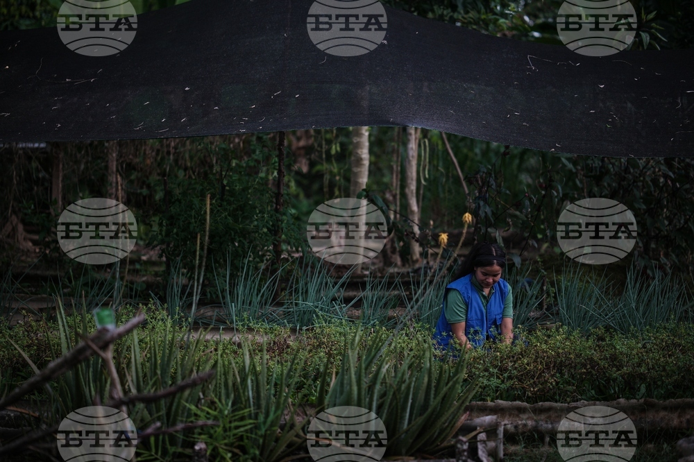 Colombia Amazon Defender