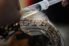 Colombia Amazon Defender