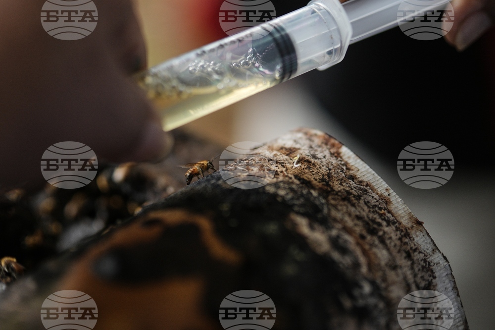 Colombia Amazon Defender