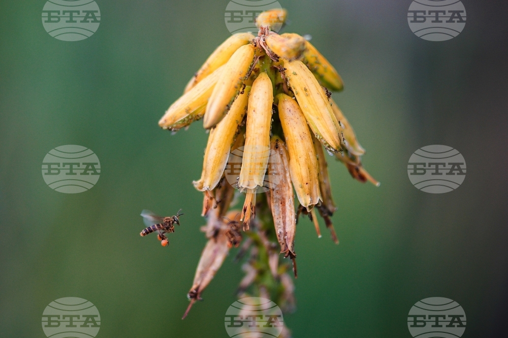 Colombia Amazon Defender
