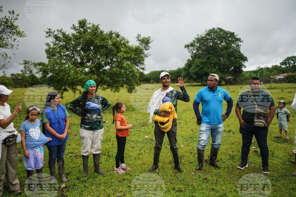Colombia Amazon Defender