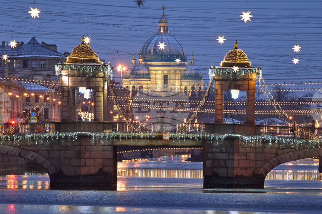 Daily Life Holiday Lights