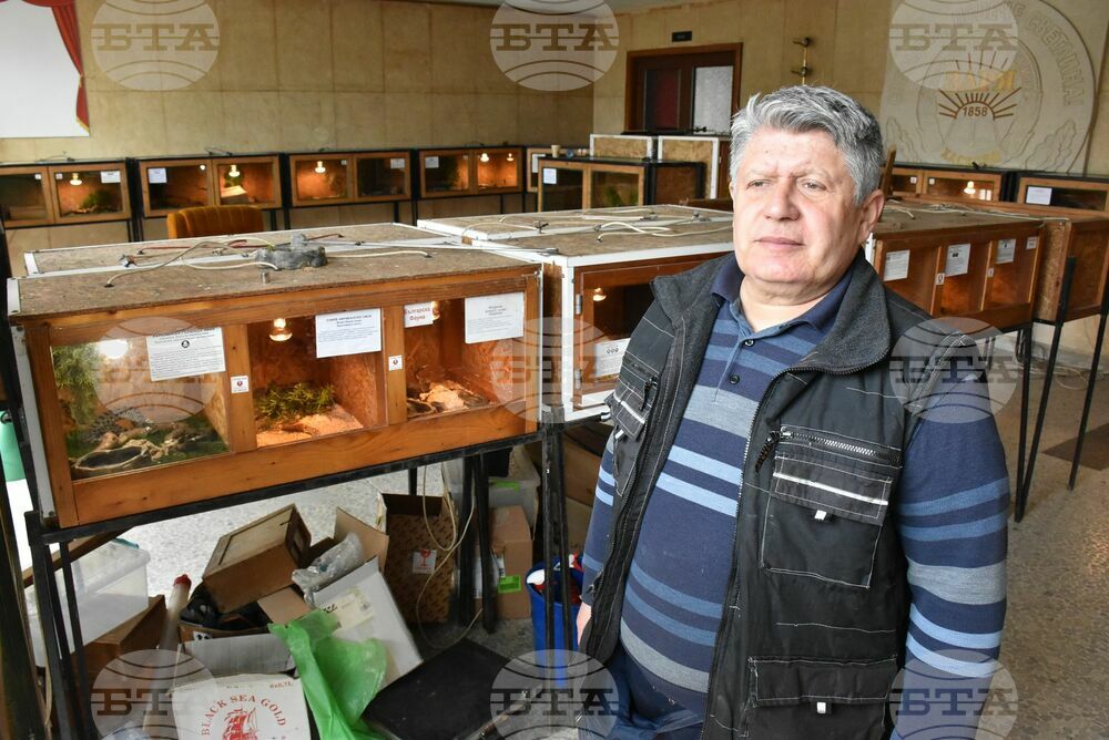 Изложба в Хасково показва редки видове влечуги