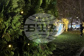 Казанлък - запалване на коледните светлини