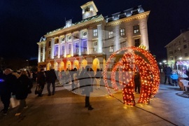 Сливен - елха - коледни светлини