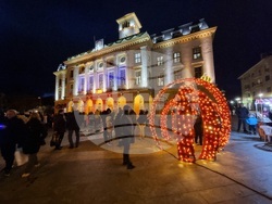 Сливен - елха - коледни светлини