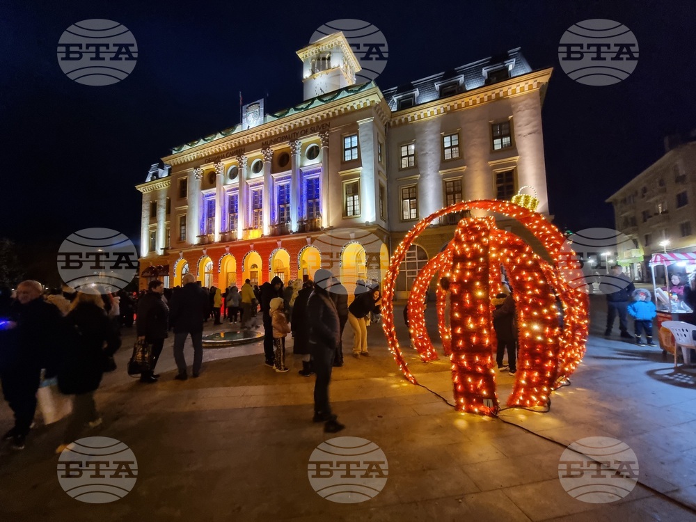 Сливен - елха - коледни светлини