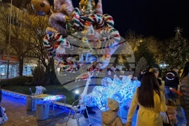 Сливен - елха - коледни светлини