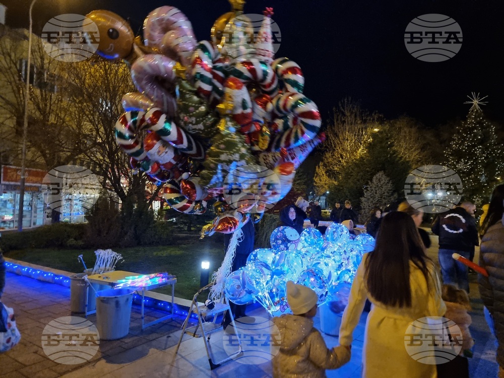 Сливен - елха - коледни светлини