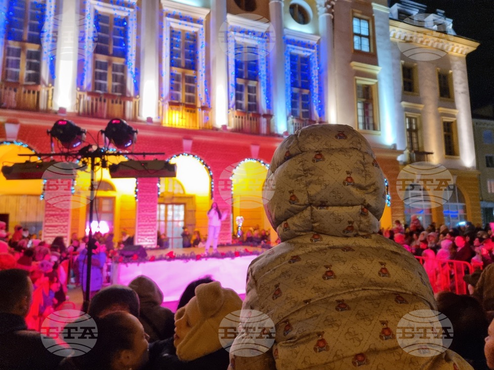 Сливен - елха - коледни светлини