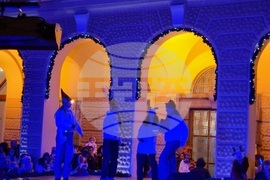 Сливен - елха - коледни светлини