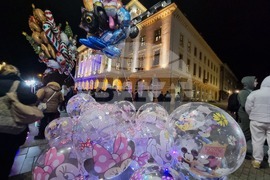 Сливен - елха - коледни светлини