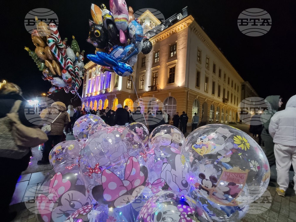 Сливен - елха - коледни светлини