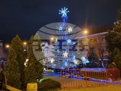 Сливен - елха - коледни светлини