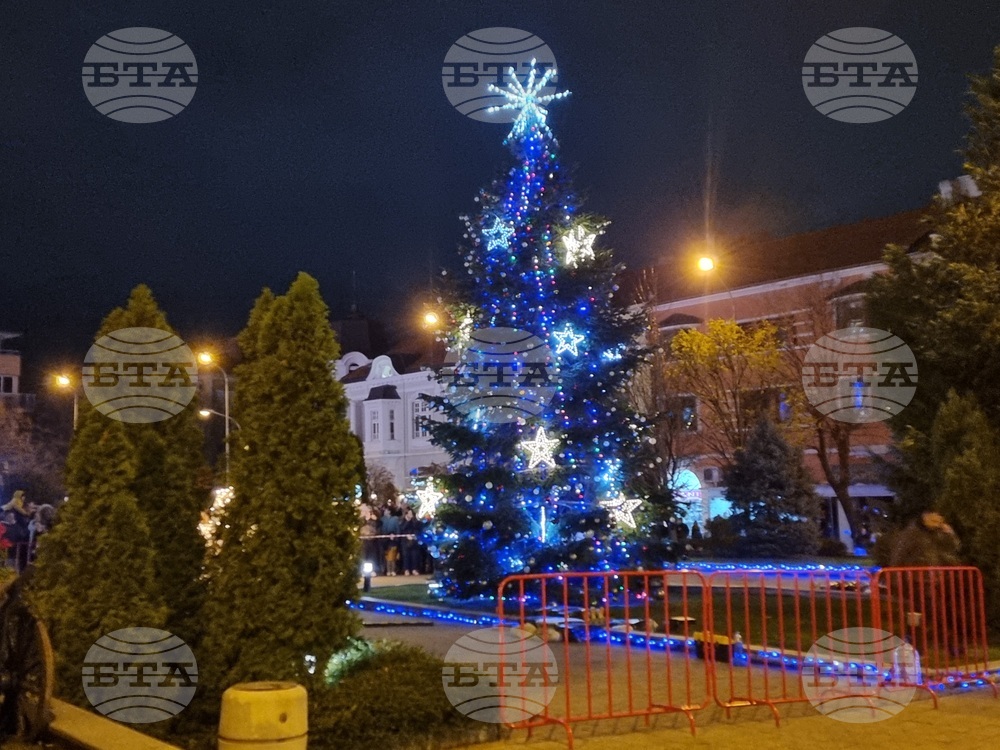 Сливен - елха - коледни светлини