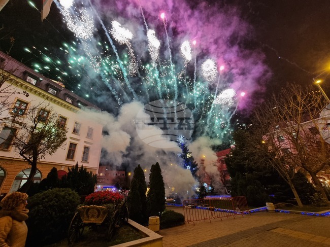 Сливен - елха - коледни светлини