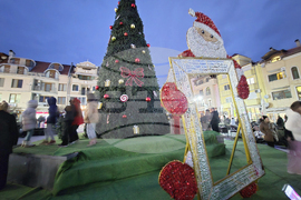 Петрич - коледна елха - запалване на светлините