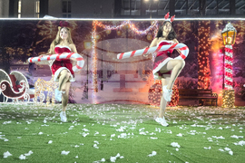 Петрич - коледна елха - запалване на светлините