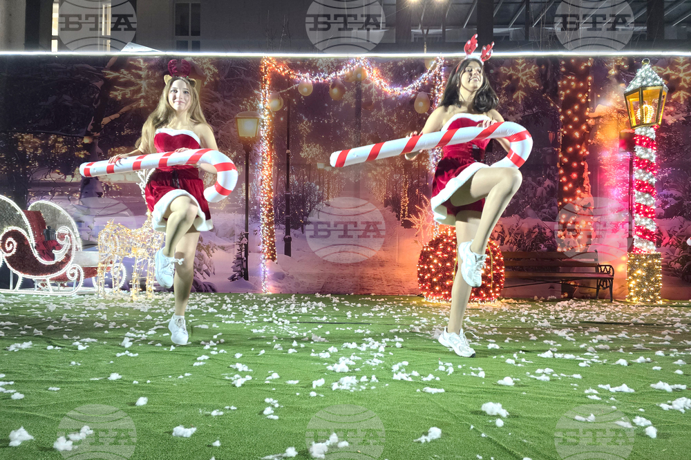 Петрич - коледна елха - запалване на светлините