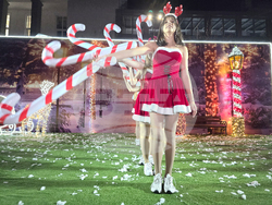 Петрич - коледна елха - запалване на светлините