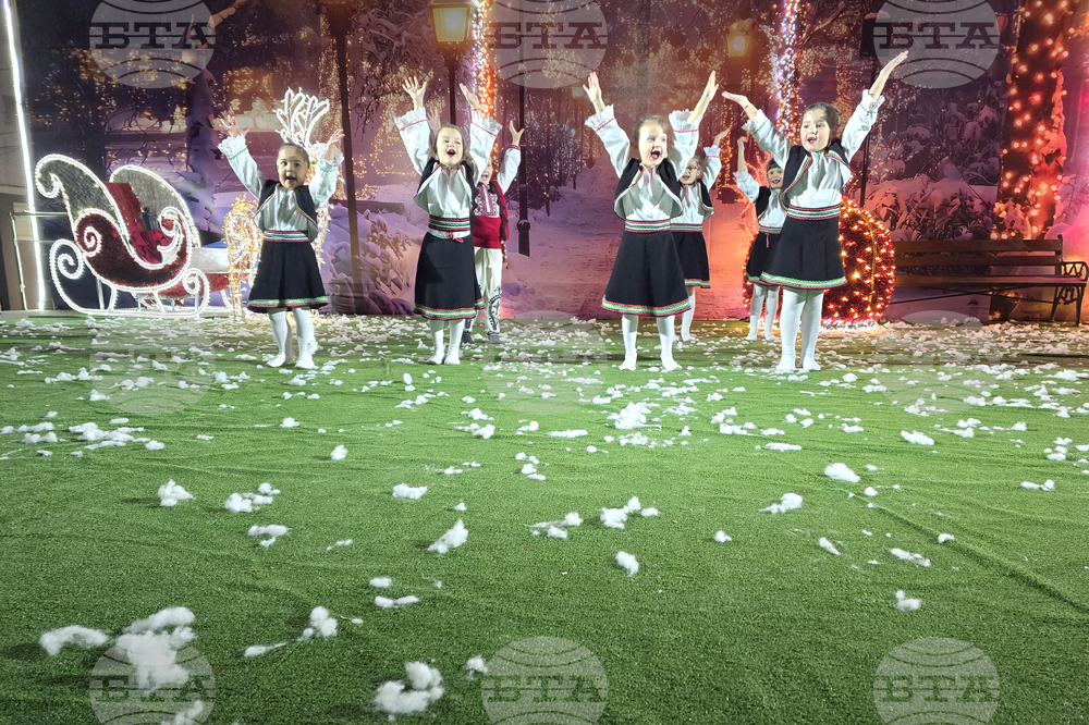 Петрич - коледна елха - запалване на светлините