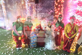 Петрич - коледна елха - запалване на светлините