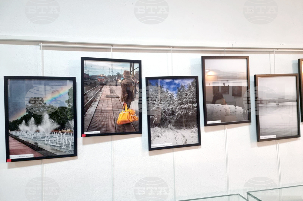 Монтана - Милен Цветанов - благотворителна изложба