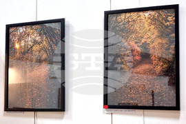 Монтана - Милен Цветанов - благотворителна изложба